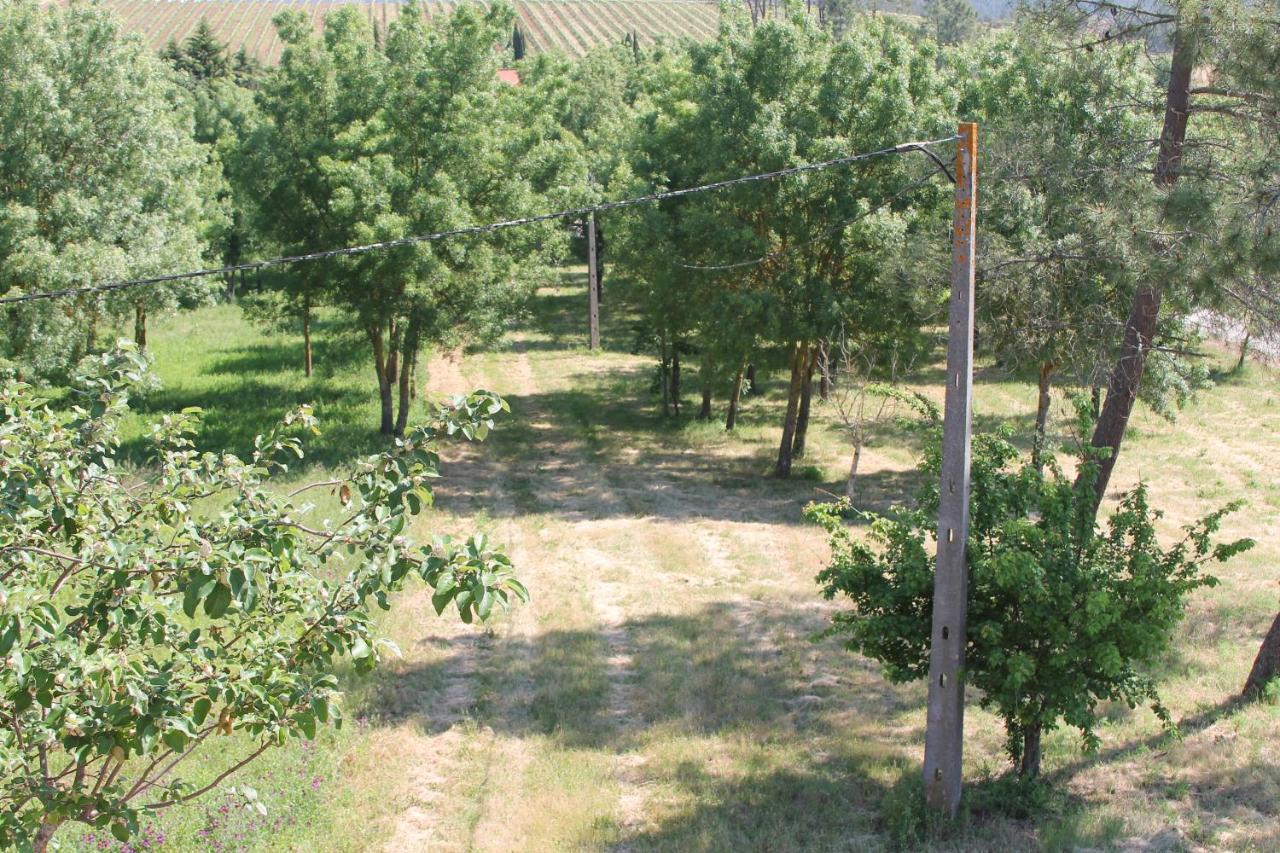 Herdade Dos Templarios Томар Екстер'єр фото